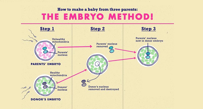 three parent baby 01